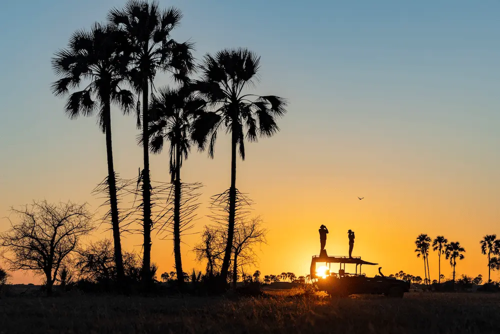 12 Makgadikgadi Game drive