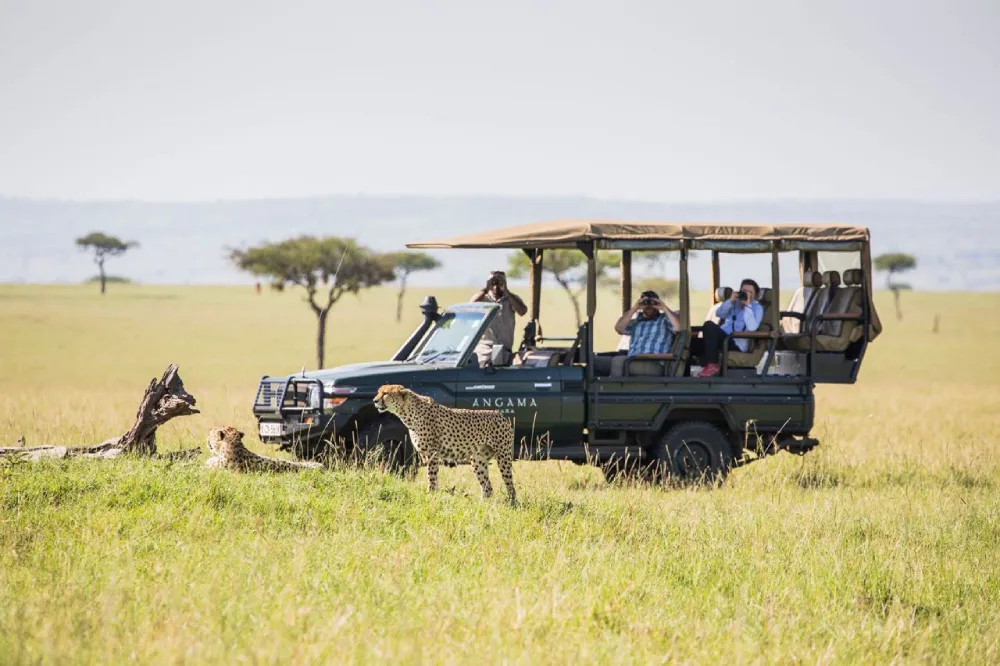 Angama-vehicle-and-cheetah-1_lhdtzc