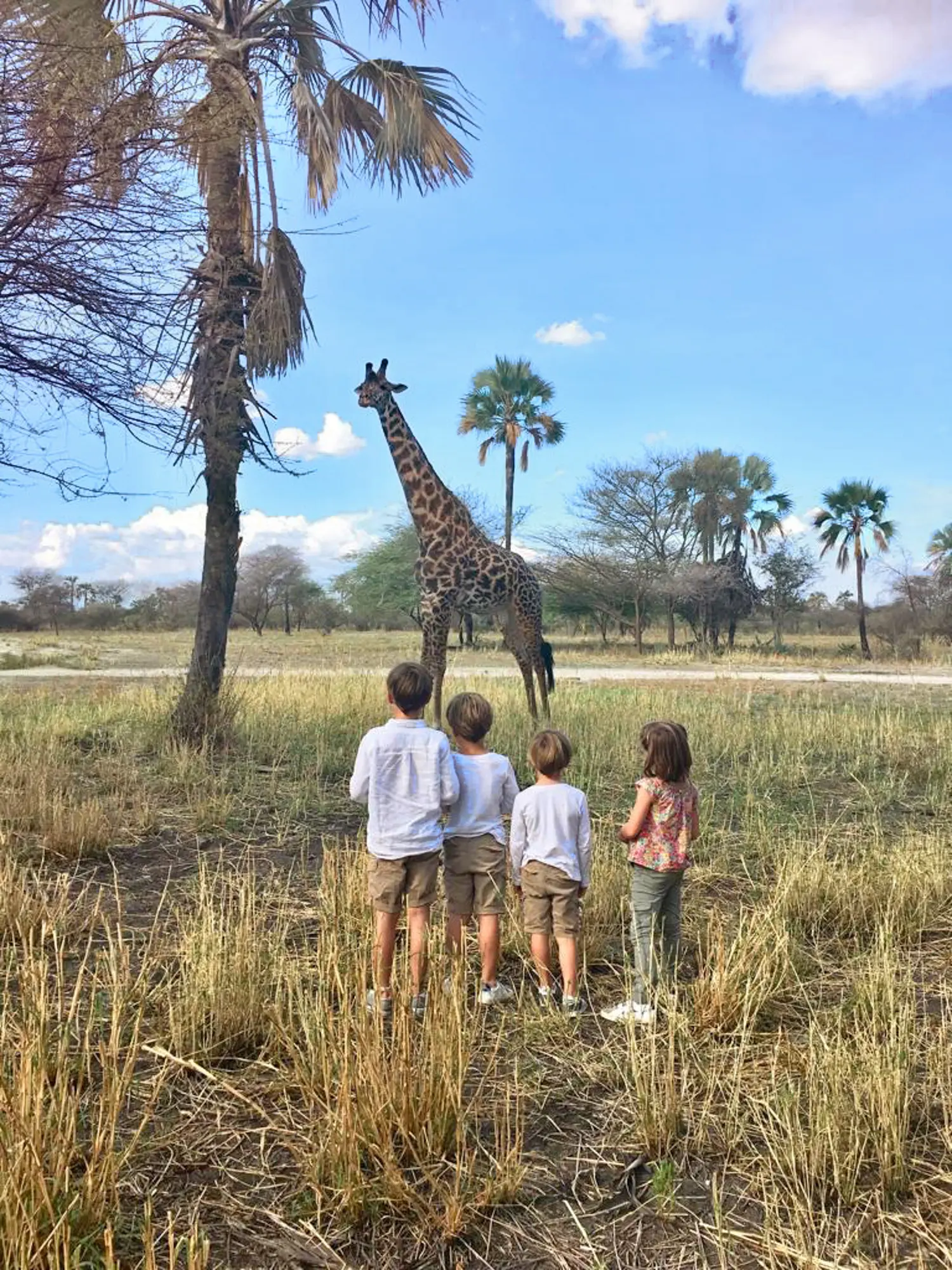 Chem-Chem-Safari-Tanzania-Experience-Family-Children-Giraffe