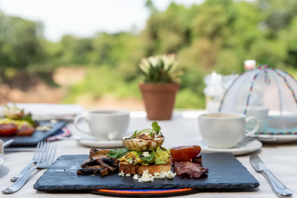 Governors Il Moran Camp_3