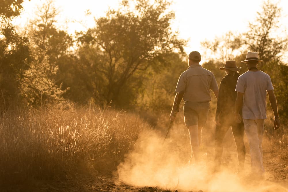 Singita Kruger National Park_Bush Walk