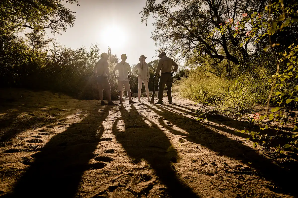 Singita Sabi Sand_Bush Walk_Adriaan Louw