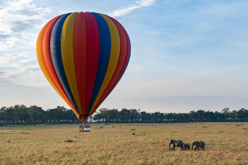 governors_balloon_safaris_13