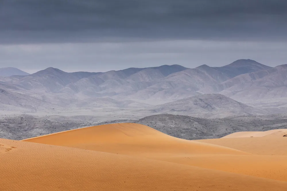 landscape_serracafema_tcunniffe_215