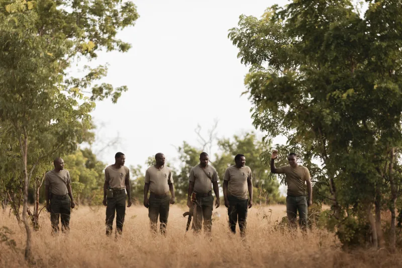 6_scorpions_1b9a9602_toned