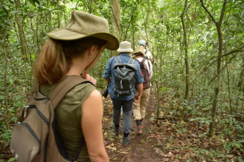 Heading into the forest