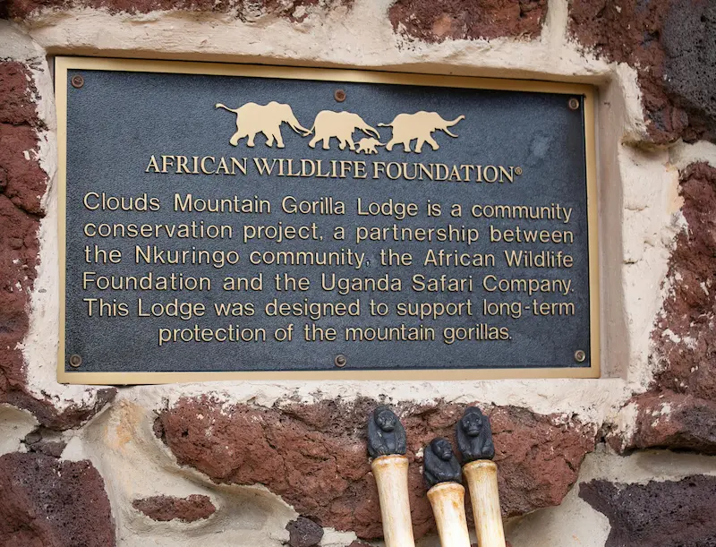 In Partnership with the Africa Wildlife Foundation