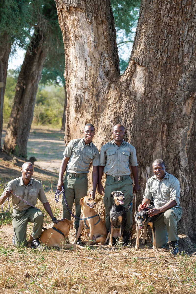 MVF_Amaganyane & K9 Unit