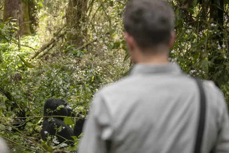 Up close and personal