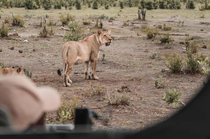 Wilderness Little Makalolo_4