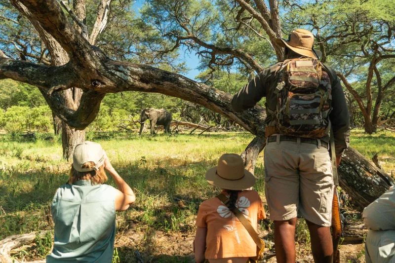 impactsafari2024_somalisa_zimbabwe_28_of_117_1_1