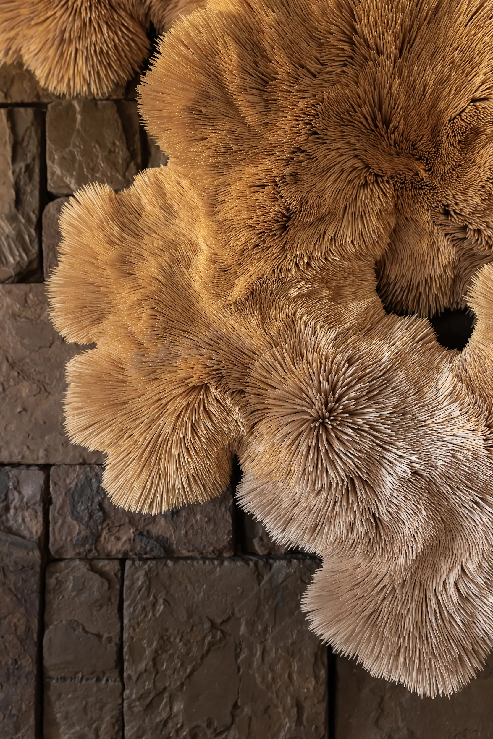 Singita Serengeti House_Chris Soal 1