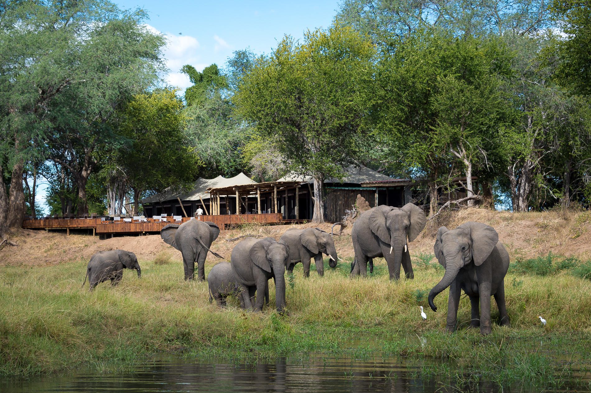 Mana Pools walking safari Zimbabwe
